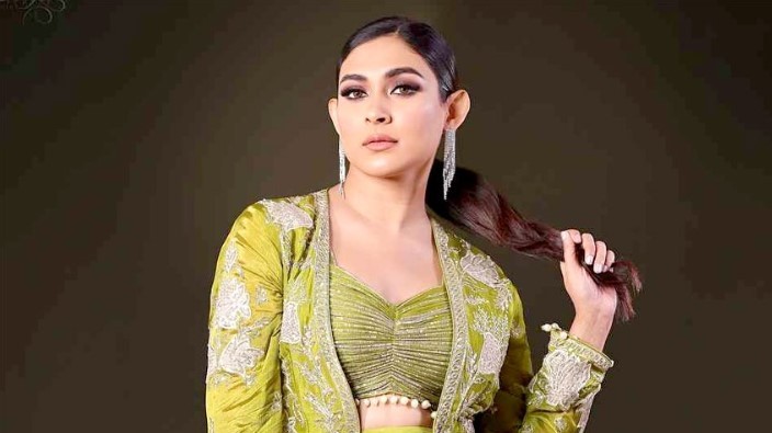 ‘অর্থ আত্মসাৎ এবং হত্যার হুমকি’ মামলা থেকে মেহজাবীনের অব্যাহতি